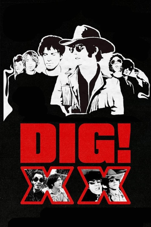 Dig! XX poster
